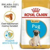 Royal Canin Pug Puppy Yavru Köpek Maması 1,5 Kg thumbnail 1