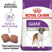 Royal Canin Giant Adult Dev Irk Yetişkin Köpek Maması 15 Kg thumbnail 1