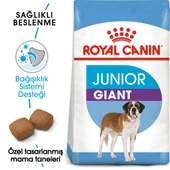 Royal Canin Giant Junior Dev Irk Yavru Köpek Maması 15 Kg thumbnail 1