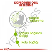 Royal Canin X-Small Ageing 12+ Küçük Irk Yaşlı Köpek Maması 1,5 Kg thumbnail 3