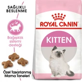 Royal Canin Kitten Yavru Kedi Maması 2 Kg thumbnail 1
