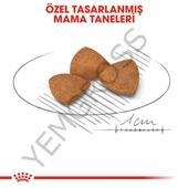 Royal Canin X-Small Ageing 12+ Küçük Irk Yaşlı Köpek Maması 1,5 Kg thumbnail 4