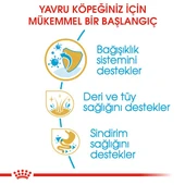 Royal Canin Cocker Junior Puppy Yavru Köpek Maması 3 Kg thumbnail 4
