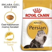 Royal Canin Persian Adult Yetişkin Kedi Maması 4 Kg thumbnail 1