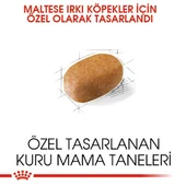 Royal Canin Maltese Adult Yetişkin Köpek Maması 1,5 Kg - 7