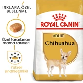 Royal Canin Chihuahua Adult Yetişkin Köpek Maması 1,5 Kg thumbnail 1