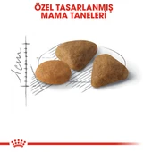 Royal Canin Savour Exigent Yetişkin Kedi Maması 10 Kg - 5