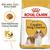 Royal Canin Cavalier King Charles Adult Yetişkin Köpek Maması 1,5 Kg thumbnail 1
