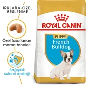Royal Canin French Bulldog Puppy Yavru Köpek Maması 3 Kg thumbnail 1
