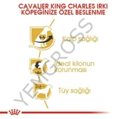 Royal Canin Cavalier King Charles Adult Yetişkin Köpek Maması 3 Kg - 3