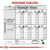 Royal Canin CCN Mini Dermacomfort Adult Küçük Irk Yetişkin Köpek Maması 3 Kg - 5