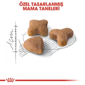 Royal Canin Sensible 33 Hassas Sindirim Sistemli Yetişkin Kedi Maması 4 Kg - 4