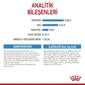 Royal Canin Mini Starter Küçük Irk Anne ve Yavru Köpek Maması 4 Kg thumbnail 8