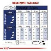 Royal Canin Maxi Adult Büyük Irk Yetişkin Köpek Maması 15 Kg thumbnail 5