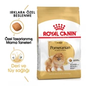 Royal Canin Pomeranian Adult Yetişkin Köpek Maması 3 Kg thumbnail 1