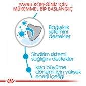 Royal Canin Medium Puppy Orta Irk Yavru Köpek Maması 15 Kg thumbnail 7