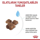 Royal Canin Mother & Babycat Anne ve Yavru Kedi Maması 2 Kg thumbnail 8