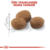 Royal Canin Sterilised 7+ Kısırlaştırılmış Yaşlı Kedi Maması 3.5 Kg - 7