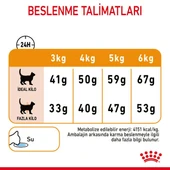 Royal Canin Hair & Skin Care Yetişkin Kedi Maması 2 Kg - Tüy ve Deri Sağlığı İçin Özel Formül - 8