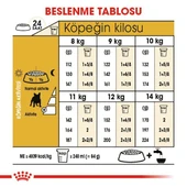 Royal Canin French Bulldog Adult Yetişkin Köpek Maması 3 Kg thumbnail 4