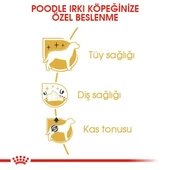 Royal Canin Poodle Adult Yetişkin Köpek Maması 3 Kg thumbnail 4