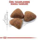 Royal Canin Indoor 27 Ev Kedileri İçin Yetişkin Kedi Maması 400 Gr - 5