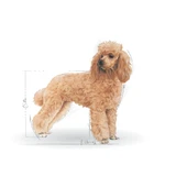 Royal Canin Poodle Adult Yetişkin Köpek Maması 3 Kg thumbnail 3
