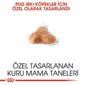 Royal Canin Pug Adult Yetişkin Köpek Maması 1,5 Kg thumbnail 3