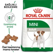 Royal Canin Mini Adult Küçük Irk Yetişkin Köpek Maması 4 Kg thumbnail 1