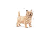 Royal Canin Mini Light Weight Care Küçük Irk Diyet Köpek Maması 3 Kg - 3