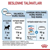 Royal Canin Mini Indoor Puppy Küçük Irk Yavru Köpek Maması 1,5 Kg thumbnail 5