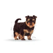 Royal Canin Yorkshire Terrier Puppy Yavru Köpek Maması 1,5 Kg thumbnail 3