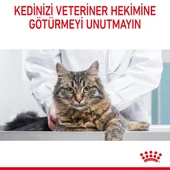 Royal Canin Hair & Skin Care Yetişkin Kedi Maması 2 Kg - Tüy ve Deri Sağlığı İçin Özel Formül - 5