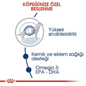 Royal Canin Maxi Adult Büyük Irk Yetişkin Köpek Maması 15 Kg thumbnail 6