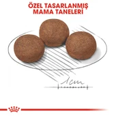 Royal Canin Medium Puppy Orta Irk Yavru Köpek Maması 15 Kg thumbnail 5