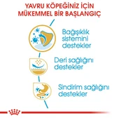 Royal Canin Pug Puppy Yavru Köpek Maması 1,5 Kg thumbnail 4