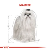 Royal Canin Maltese Adult Yetişkin Köpek Maması 1,5 Kg - 6