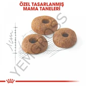 Royal Canin Fit 32 Yetişkin Kedi Maması 2 Kg - 3