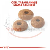 Royal Canin Fit 32 Yetişkin Kedi Maması 15kg - 3
