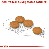 Royal Canin CCN Mini Dermacomfort Adult Küçük Irk Yetişkin Köpek Maması 3 Kg - 4