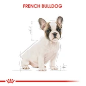 Royal Canin French Bulldog Puppy Yavru Köpek Maması 3 Kg thumbnail 8
