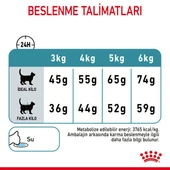 Royal Canin Hairball Care Tüy Yumağı Önleyici Kedi Maması 2 Kg - 6