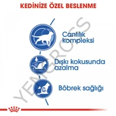 Royal Canin Indoor 7+ Ev Kedileri İçin Yaşlı Kedi Maması 1,5 Kg thumbnail 3