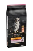 Pro Plan Medium +7 Sensitive Somonlu Köpek Maması - 14Kg - 1