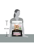 Pro Plan Delicate Kuzu Etli Yetişkin Kedi Maması - 3 Kg thumbnail 4