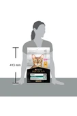 Pro Plan Tavuklu Yetişkin Kedi Maması - 3 Kg - 5