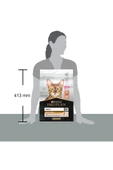 Pro Plan Elegant Somonlu Kedi Maması - 3 Kg thumbnail 4