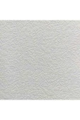 Ankawall PİCASSO BOYANABİLİR DUVAR KAĞIDI 742108 (26.5m2) - 2