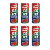 Tamek Ice Tea Karpuz & Çilek 330 ml x 6 Adet - 1