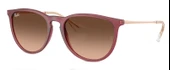 Ray-Ban RB4171 6815A5 54 Kadın Güneş Gözlüğü - 1